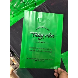 In Túi Ni Lông Giá Rẻ Tại Xưởng